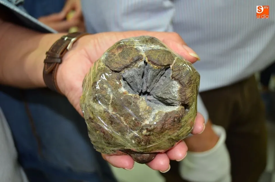 Foto 3 - Jes&uacute;s Arana ofrece en el EPA una clase magistral con una muestra de m&aacute;s 500 minerales  