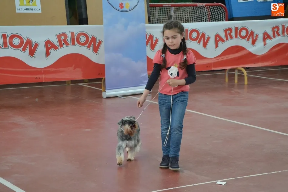 Foto 7 - La I Exposici&oacute;n Internacional Canina de Ciudad Rodrigo proclama a un b&oacute;xer como mejor ejemplar  