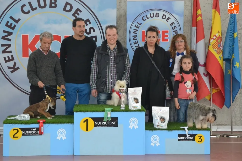 Foto 9 - La I Exposici&oacute;n Internacional Canina de Ciudad Rodrigo proclama a un b&oacute;xer como mejor ejemplar  