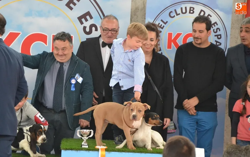Foto 5 - La I Exposici&oacute;n Internacional Canina de Ciudad Rodrigo proclama a un b&oacute;xer como mejor ejemplar  