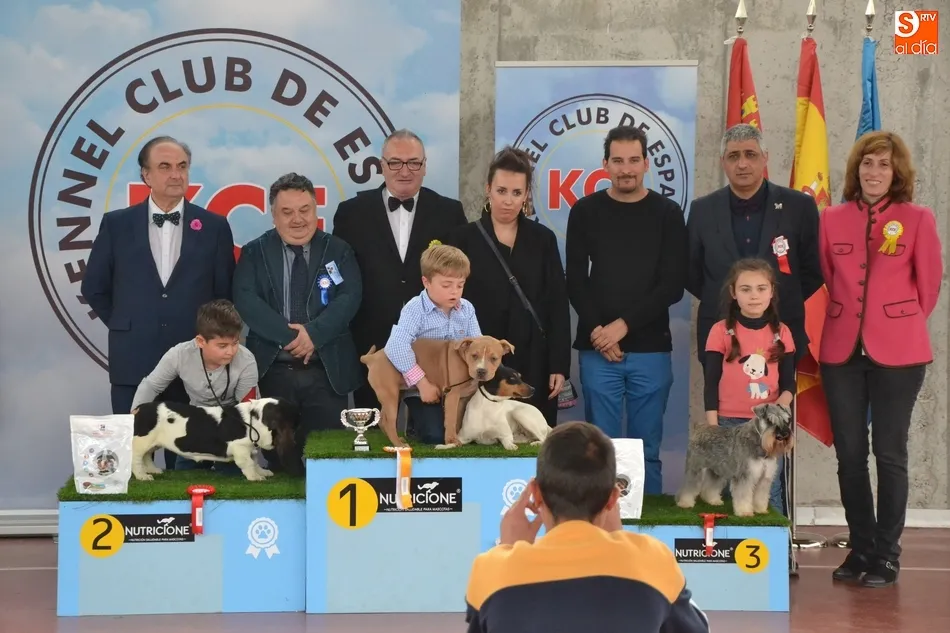 Foto 4 - La I Exposici&oacute;n Internacional Canina de Ciudad Rodrigo proclama a un b&oacute;xer como mejor ejemplar  