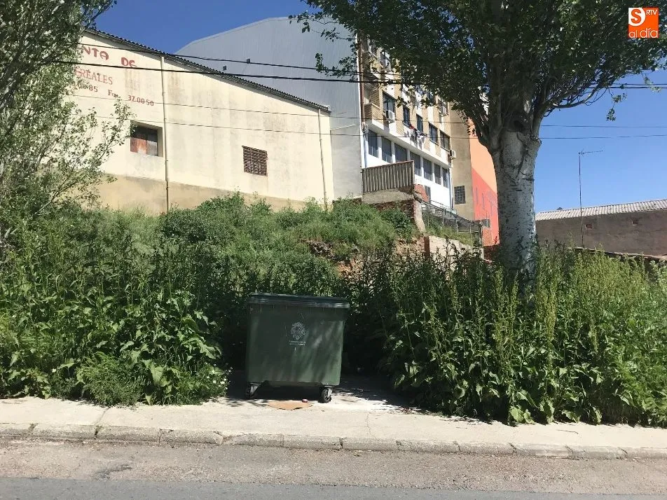 Fotos remitidas por nuestros lectores