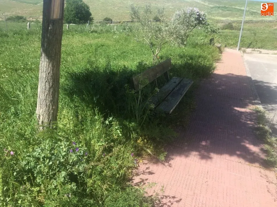 Foto 9 - Quejas por el estado de varias zonas verdes