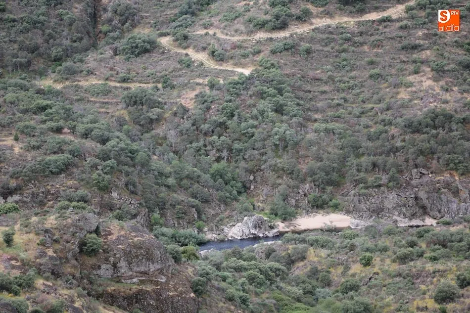 Foto 10 - La v&iacute;a f&eacute;rrea del Duero recobra vida con las actuaciones de la Diputaci&oacute;n  