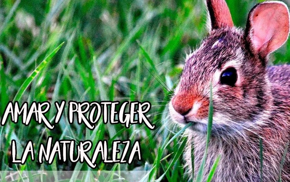 El Grupo Scout Kennedy organiza una charla dentro de su proyecto ‘Soy Montaña’  