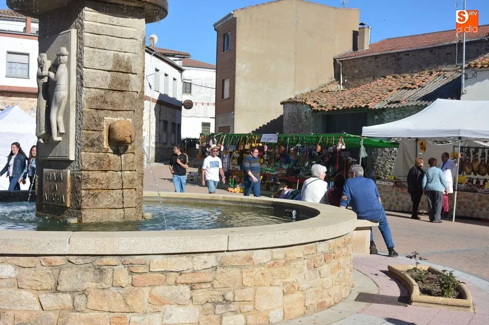 Foto 2 - Una animada feria de San Isidro en Lumbrales presenta m&aacute;s de 300 cabezas de ganado