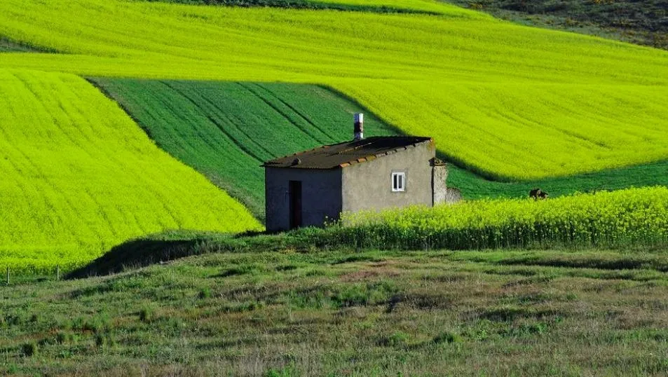 Geometría en el campo