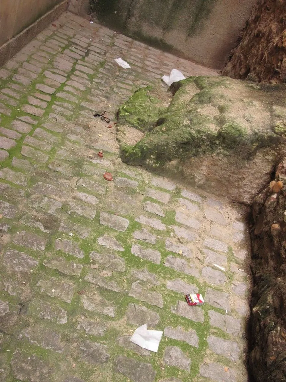 Foto 4 - Las muestras de vandalismo no cesan en la Torre del Marqu&eacute;s de Villena  