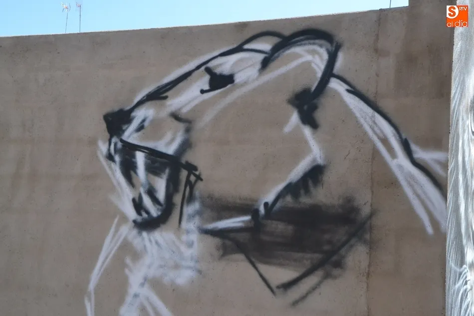 Foto 3 - 1Foto: El misterioso &lsquo;Bansky&rsquo; amante de los felinos de Mir&oacute;briga  