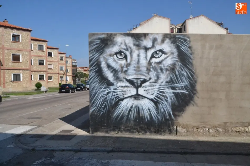 Foto 2 - 1Foto: El misterioso &lsquo;Bansky&rsquo; amante de los felinos de Mir&oacute;briga  