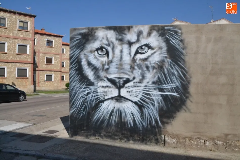 1Foto: El misterioso ‘Bansky’ amante de los felinos de Miróbriga  