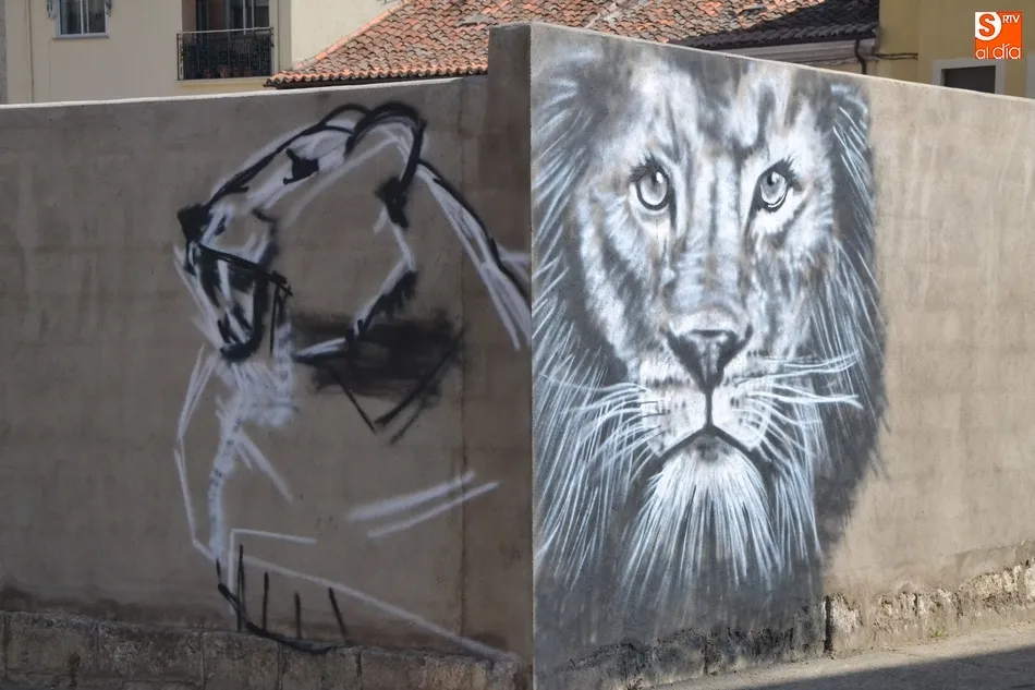 Foto 4 - 1Foto: El misterioso &lsquo;Bansky&rsquo; amante de los felinos de Mir&oacute;briga  