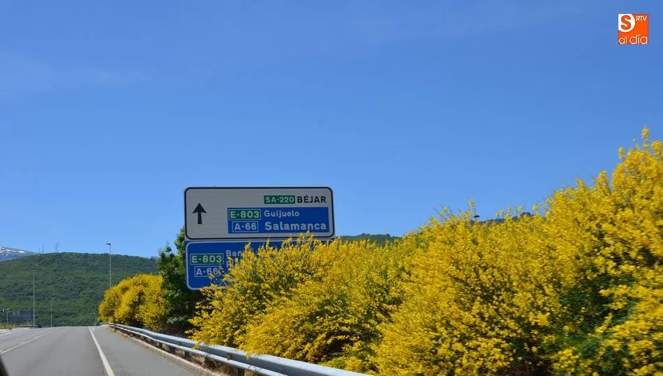 Carretera SA-220 de Béjar a Ciudad Rodrigo