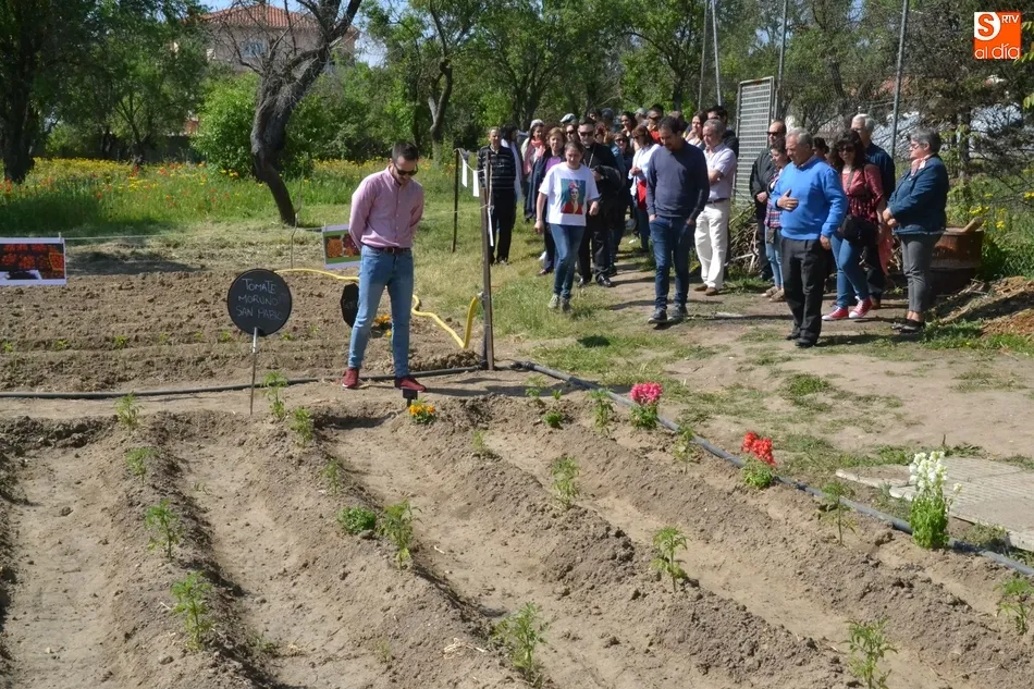 Siete personas participan en un proyecto de agricultura ecológica de Cáritas en Torroba  