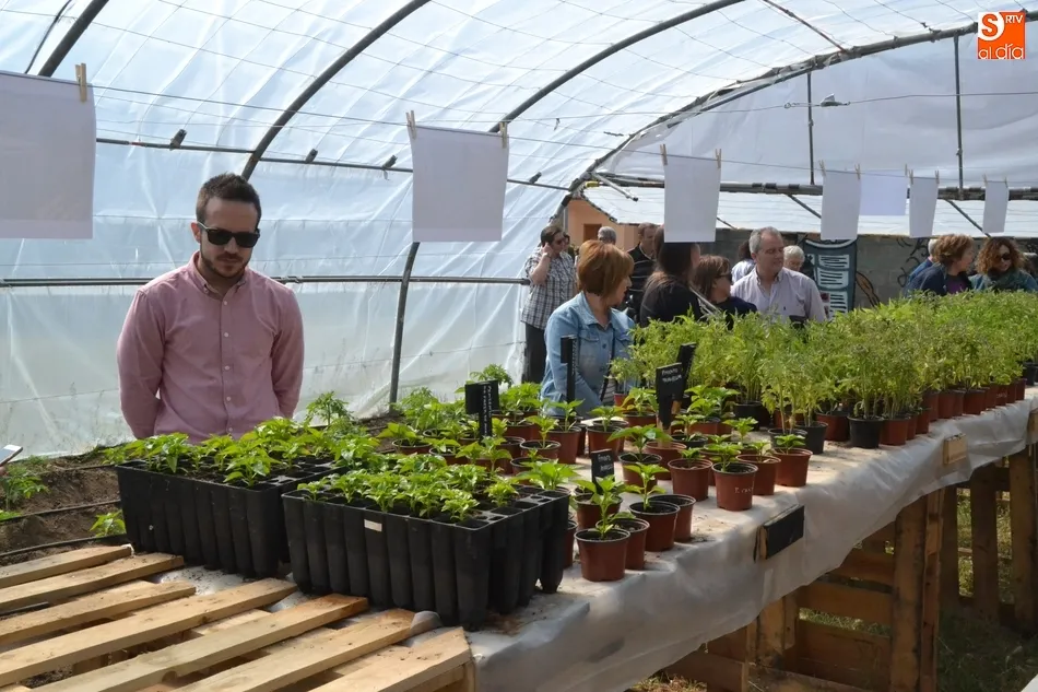 Foto 7 - Siete personas participan en un proyecto de agricultura ecol&oacute;gica de C&aacute;ritas en Torroba  
