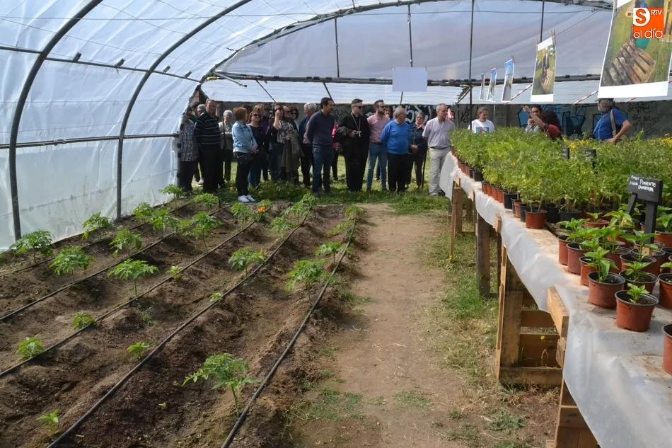 Foto 8 - Siete personas participan en un proyecto de agricultura ecol&oacute;gica de C&aacute;ritas en Torroba  