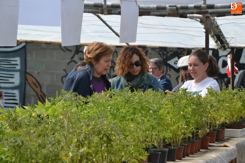 Foto 6 - Siete personas participan en un proyecto de agricultura ecol&oacute;gica de C&aacute;ritas en Torroba  