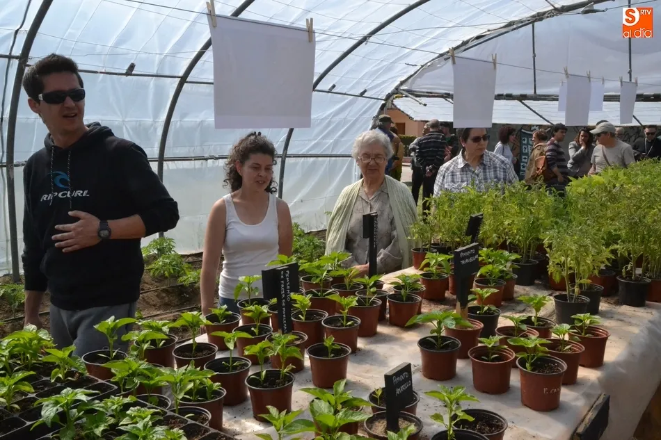 Foto 4 - Siete personas participan en un proyecto de agricultura ecol&oacute;gica de C&aacute;ritas en Torroba  