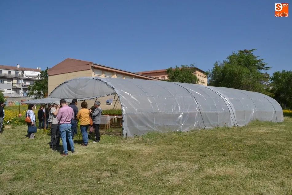 Foto 2 - Siete personas participan en un proyecto de agricultura ecol&oacute;gica de C&aacute;ritas en Torroba  