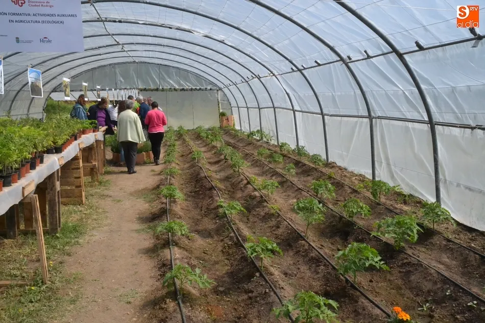 Foto 3 - Siete personas participan en un proyecto de agricultura ecol&oacute;gica de C&aacute;ritas en Torroba  