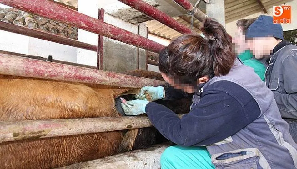 La 19 de Abril, preocupada con el repunte de casos de tuberculosis en la provincia