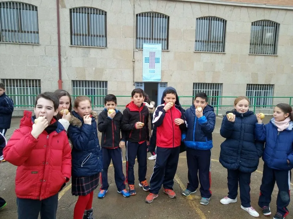 Foto 10 - El colegio Padres Trinitarios participa en el Programa Escolar de consumo de frutas, hortalizas y...