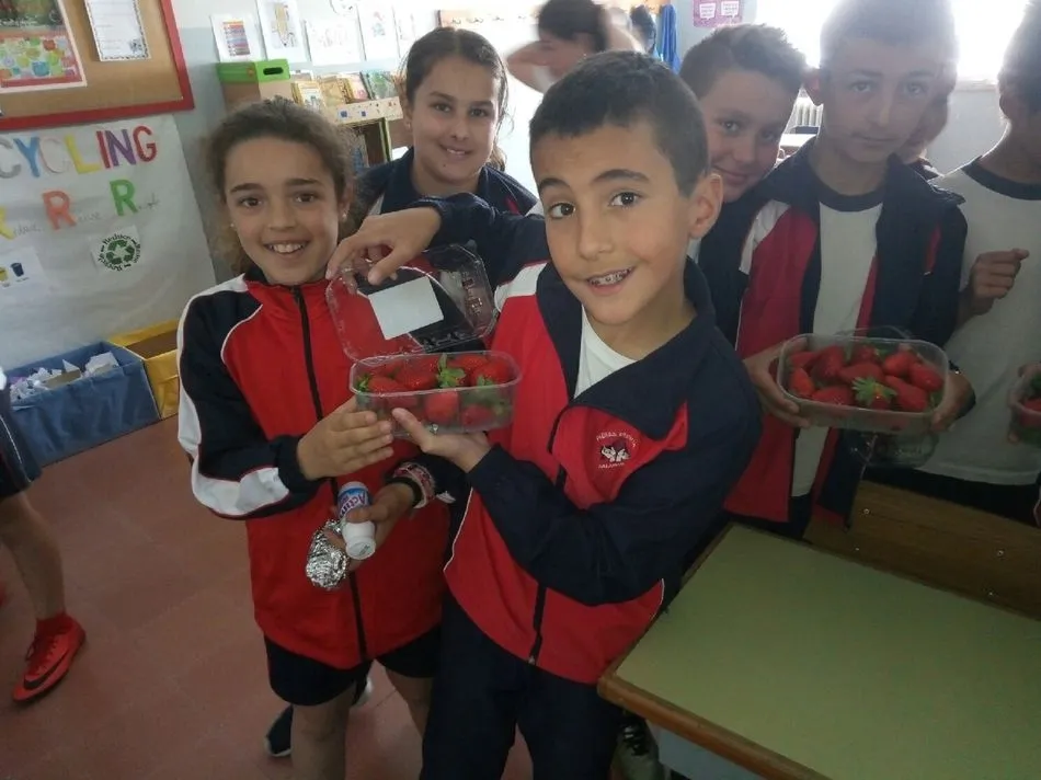 Foto 7 - El colegio Padres Trinitarios participa en el Programa Escolar de consumo de frutas, hortalizas y...