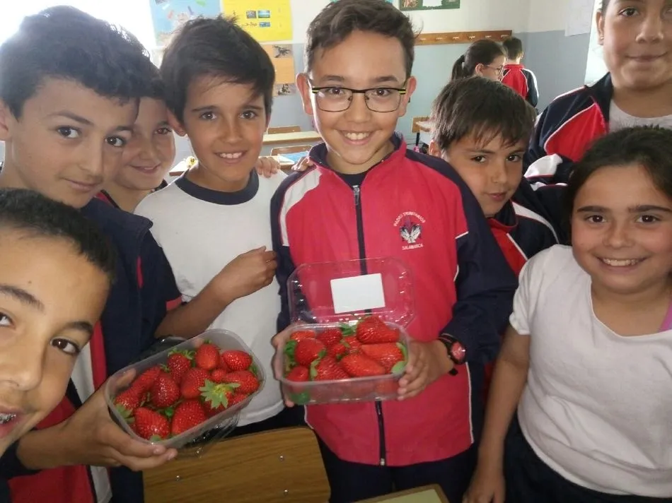 Foto 6 - El colegio Padres Trinitarios participa en el Programa Escolar de consumo de frutas, hortalizas y...