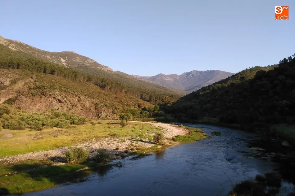 Foto 4 - Los mayores de San Isidro disfrutan de los barbos en Sotoserrano  