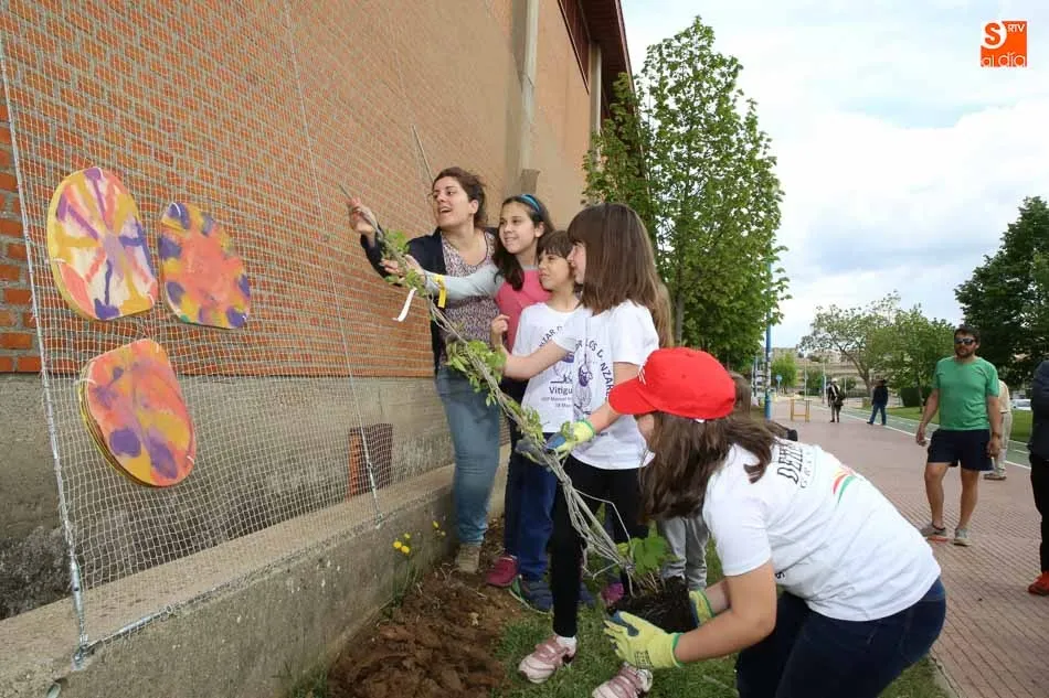 Foto 11 - La Fascinaci&oacute;n por las plantas llega al campus Miguel de Unamuno