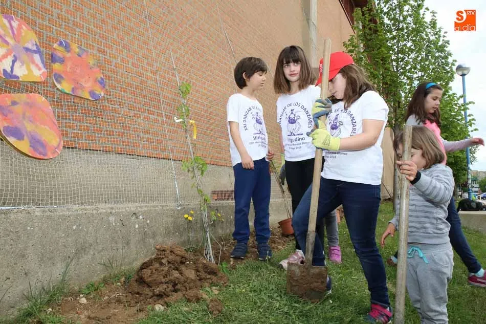 Foto 10 - La Fascinaci&oacute;n por las plantas llega al campus Miguel de Unamuno