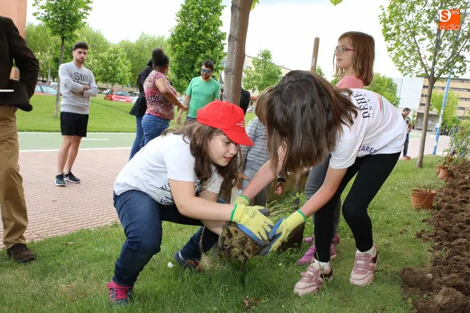 Foto 4 - La Fascinaci&oacute;n por las plantas llega al campus Miguel de Unamuno