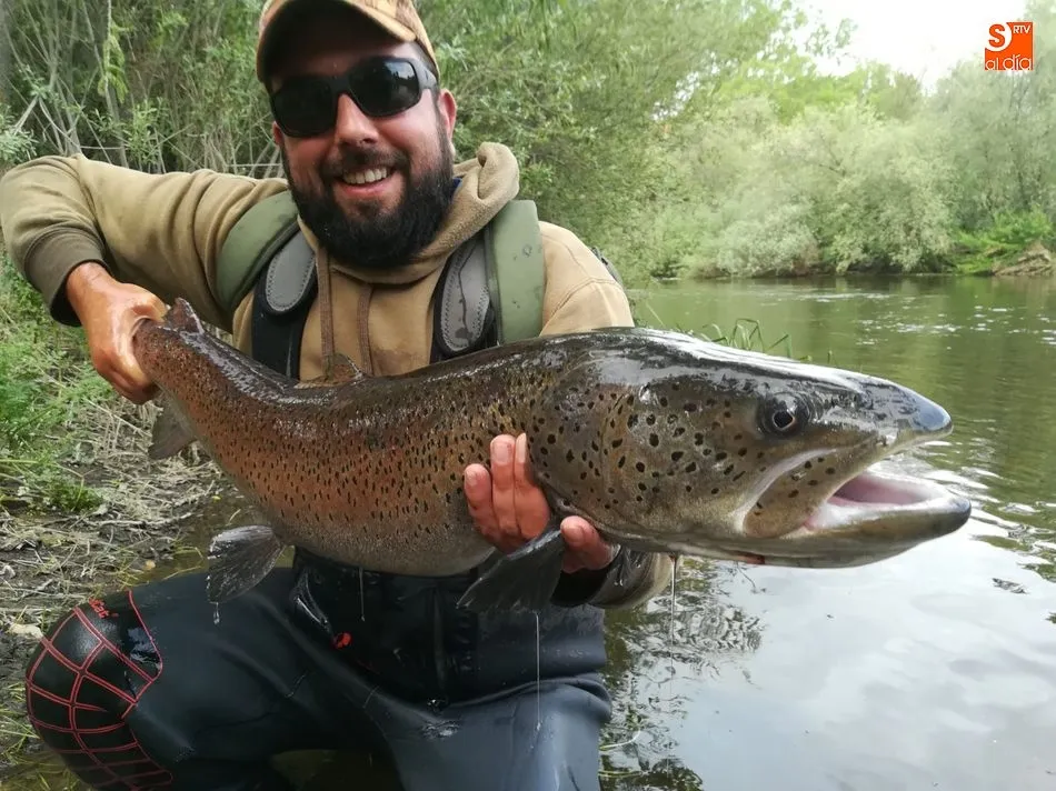 Foto 9 - Hucho-hucho, el salm&oacute;n del Danubio que lleg&oacute; al Tormes para quedarse&nbsp;&nbsp;  