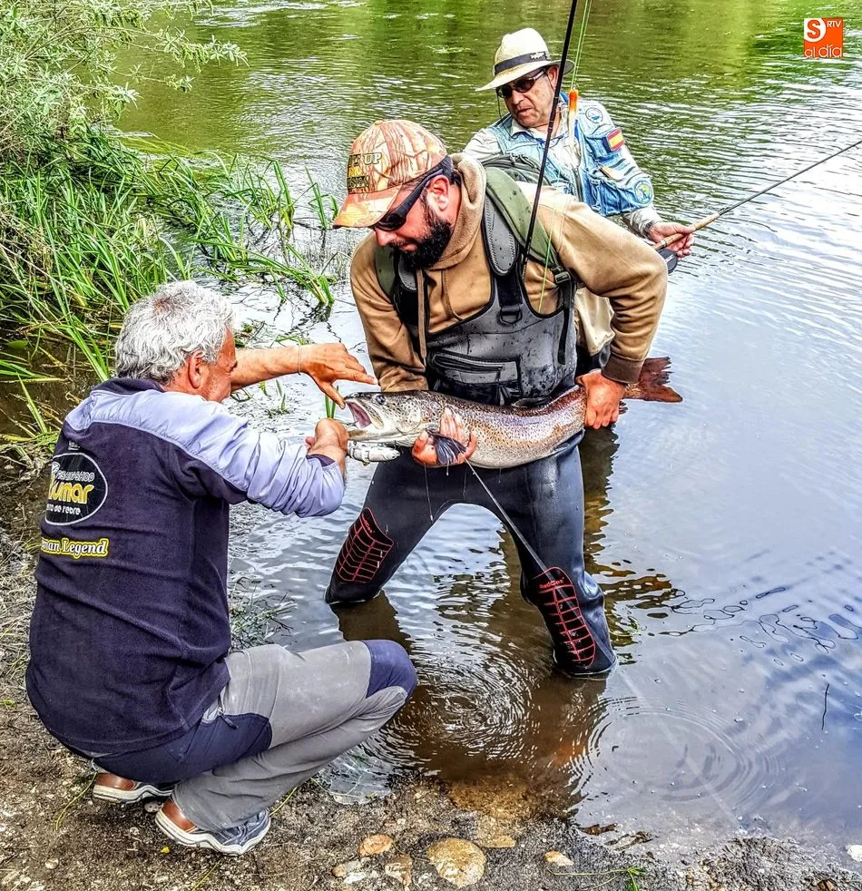 Foto 6 - Hucho-hucho, el salm&oacute;n del Danubio que lleg&oacute; al Tormes para quedarse&nbsp;&nbsp;  