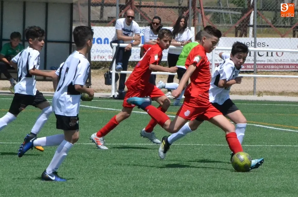 Foto 5 - [MARCADOR 19|20 Mayo]  