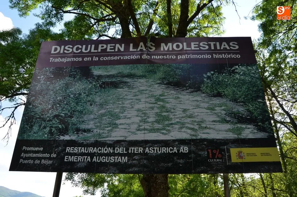 Foto 5 - El fresno que no acepta las disculpas  