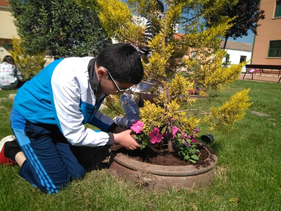 Foto 7 - Los ni&ntilde;os disfrutan de la jardiner&iacute;a