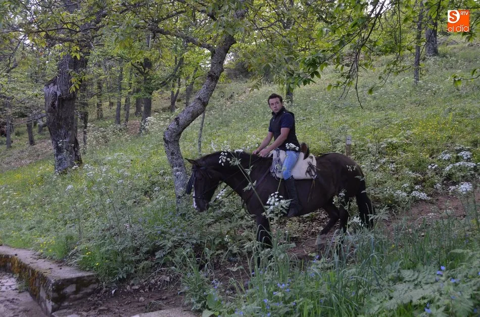 Foto 4 - Tradici&oacute;n a caballo en la Romer&iacute;a de los Paporros  