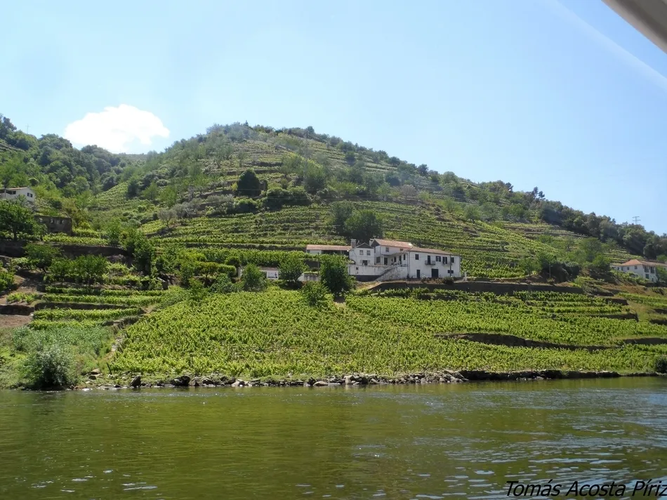 Foto 7 - Vecinos del Rebollar se van de excursi&oacute;n por el Bajo Duero  