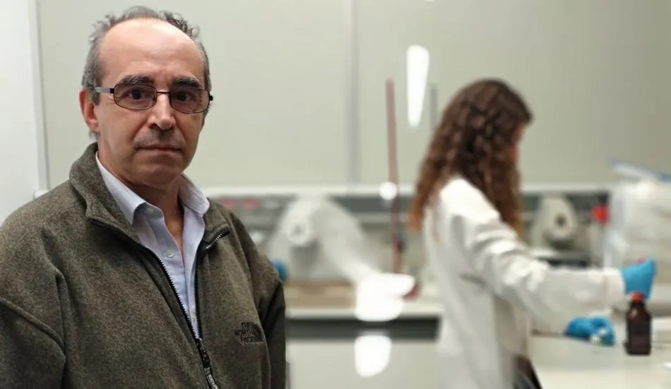 Foto 2 - La salud de los gorriones advierte de la presencia de plomo en las ciudades