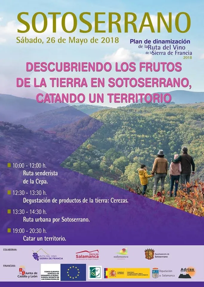 Foto 2 - La Ruta de la Cepa y las degustaciones gastron&oacute;micas ser&aacute;n protagonistas el s&aacute;bado 26