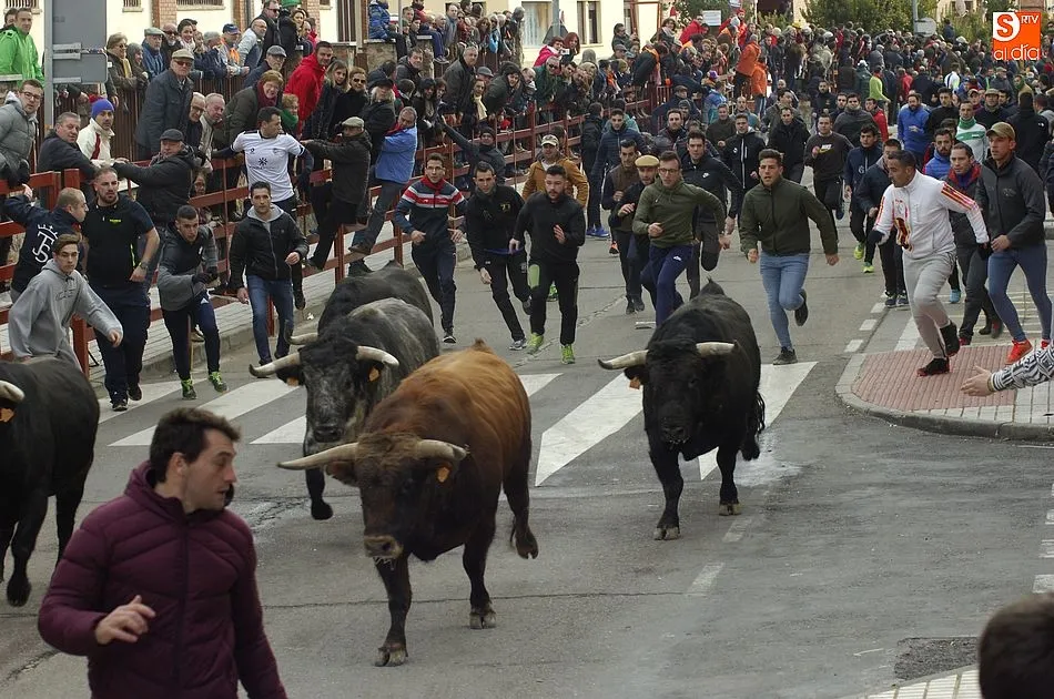 Los toros y novillos del Carnaval 2018 costaron a las arcas municipales 107.096 euros  