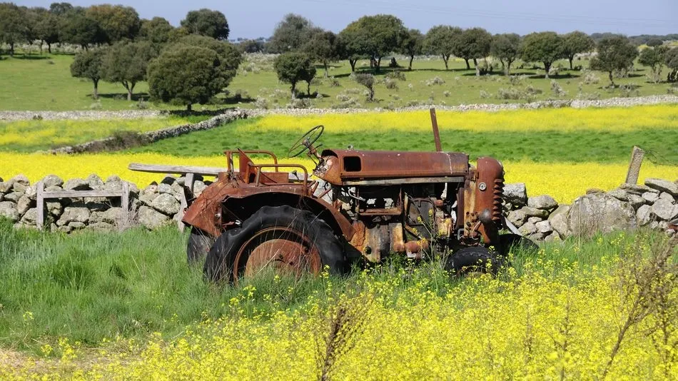 Muerte entre las flores