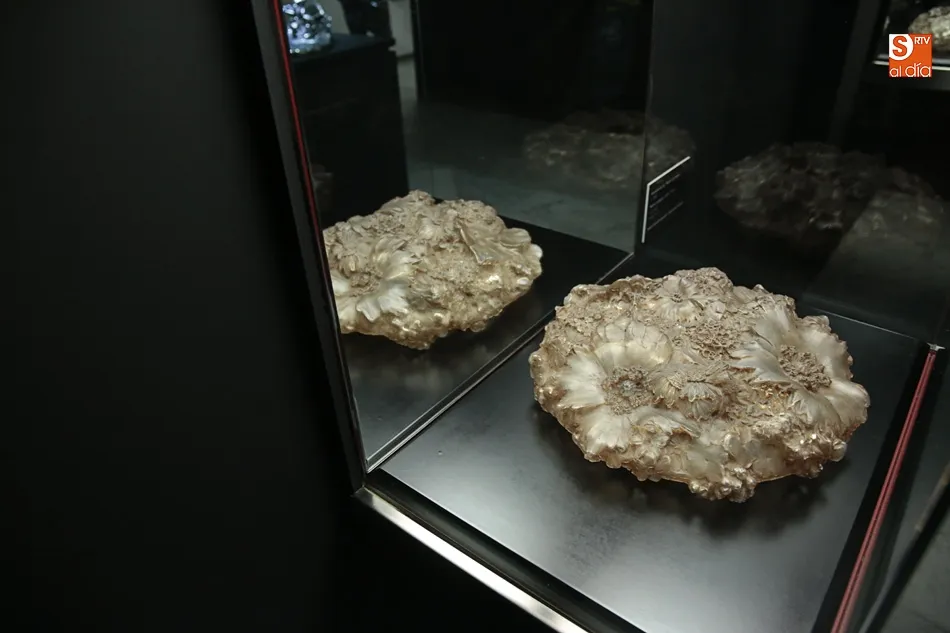 Foto 4 - La Casa Lis acoge la exposici&oacute;n in&eacute;dita de Ren&eacute; Lalique, el inventor de la joyer&iacute;a moderna