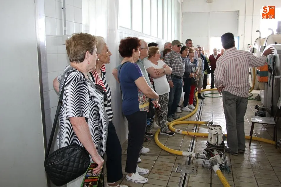 Foto 5 - Jubilados usuarios del balneario de Ledesma conocen los encantos de&nbsp;Vitigudino  
