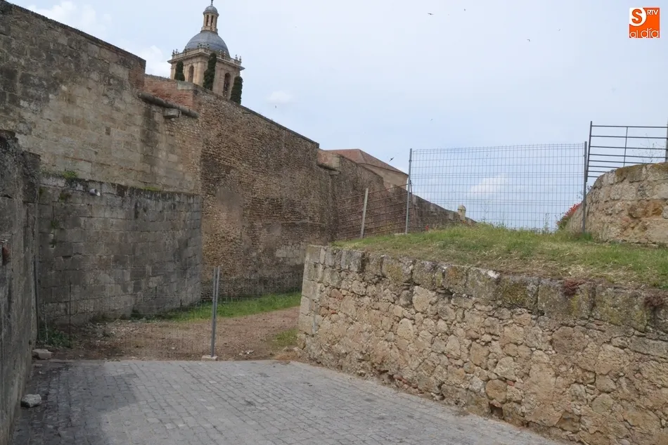 Foto 3 - La muralla se pone guapa con una nueva operaci&oacute;n de retirada de la vegetaci&oacute;n  