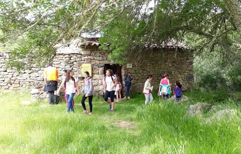 Foto 7 - Los CRA R&iacute;o &Aacute;gueda y Campo de Arga&ntilde;&aacute;n disfrutan de sendas excursiones  