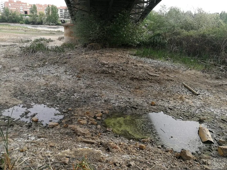 Foto 7 - M&aacute;s de dos meses despu&eacute;s de la rotura de la pesquera, el Tormes muestra su peor cara