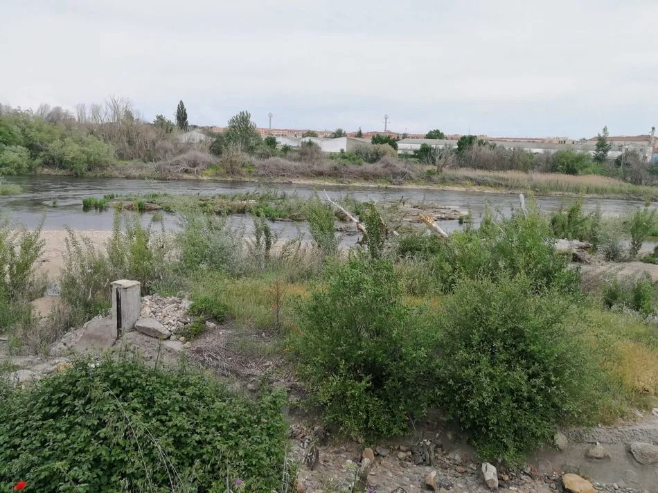 Foto 6 - M&aacute;s de dos meses despu&eacute;s de la rotura de la pesquera, el Tormes muestra su peor cara