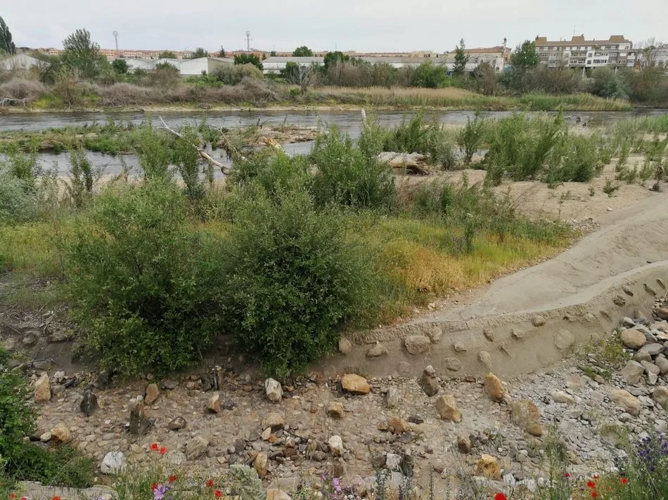 Foto 5 - M&aacute;s de dos meses despu&eacute;s de la rotura de la pesquera, el Tormes muestra su peor cara